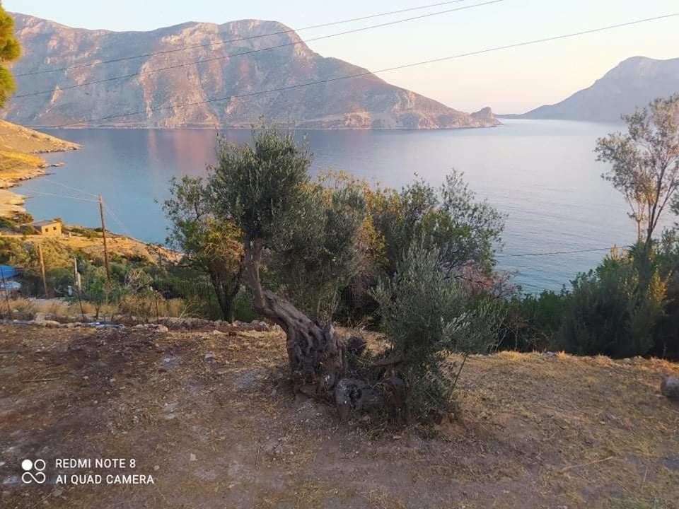 The Traditional House-Skalia,Kalymnos 외부 사진